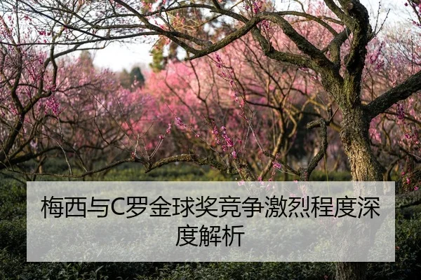 梅西与C罗金球奖竞争激烈程度深度解析